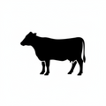 CUERO DE VACA
